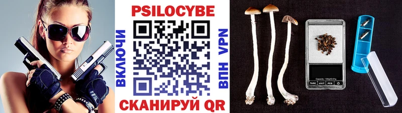 Псилоцибиновые грибы Psilocybine cubensis  Ленск 